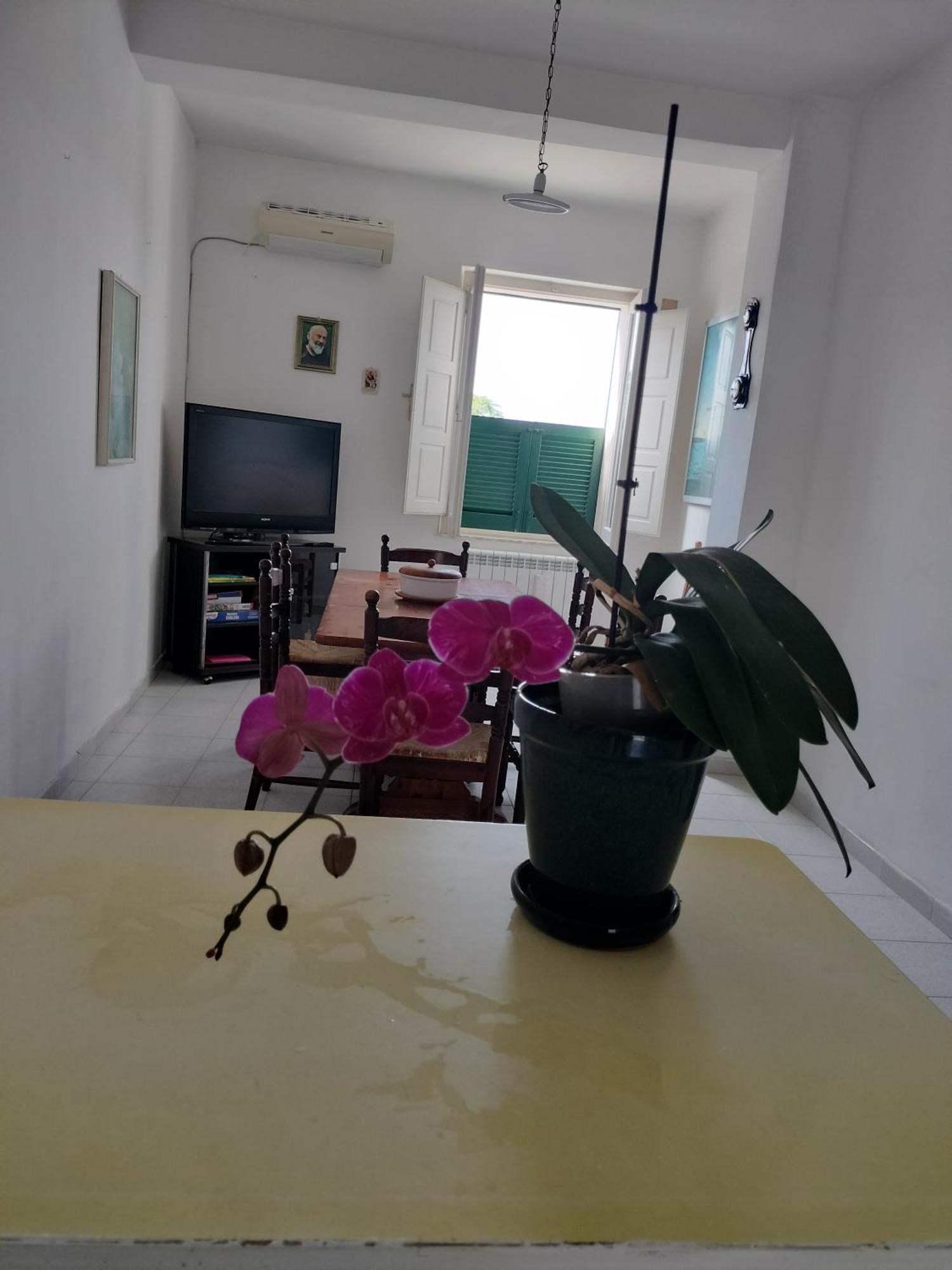 Apartamento Sunny House Parghelia Exterior foto