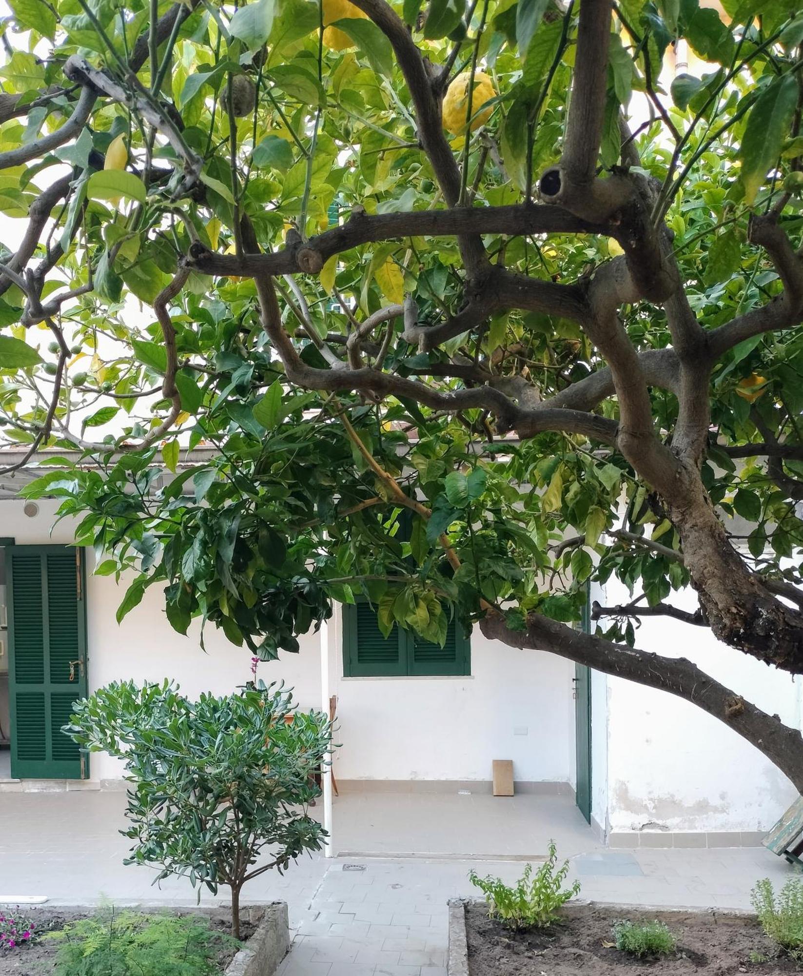 Apartamento Sunny House Parghelia Exterior foto